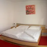 Appartements Hirner Apartment Fuegen