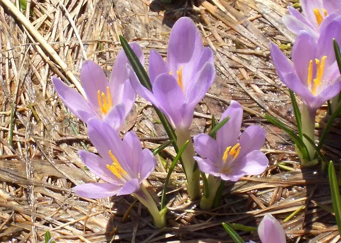 赫纳公寓酒店 公寓 菲根