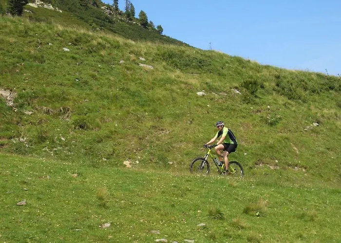 赫纳公寓酒店 * 菲根